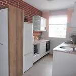 Apartment Steblaj